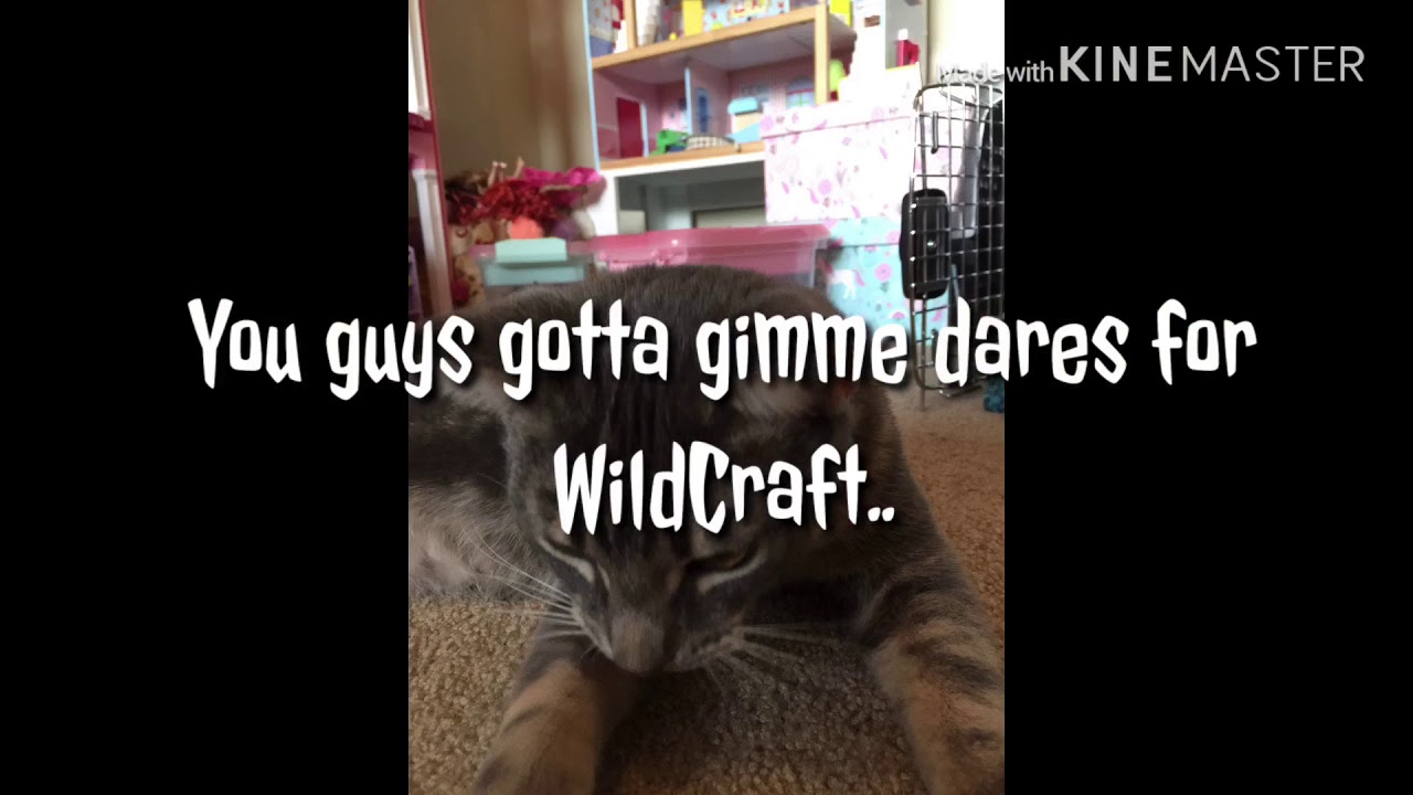 Give me Dares For WildCraft (And a Awkward Chat) YouTube