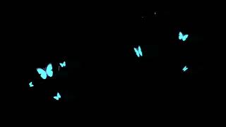 Free Erfly Overlay For Capcut Credit To Byalbxs