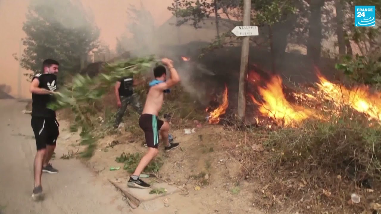 جزائريون بين الغضب والحسرة جراء الحرائق الهائلة في البلاد