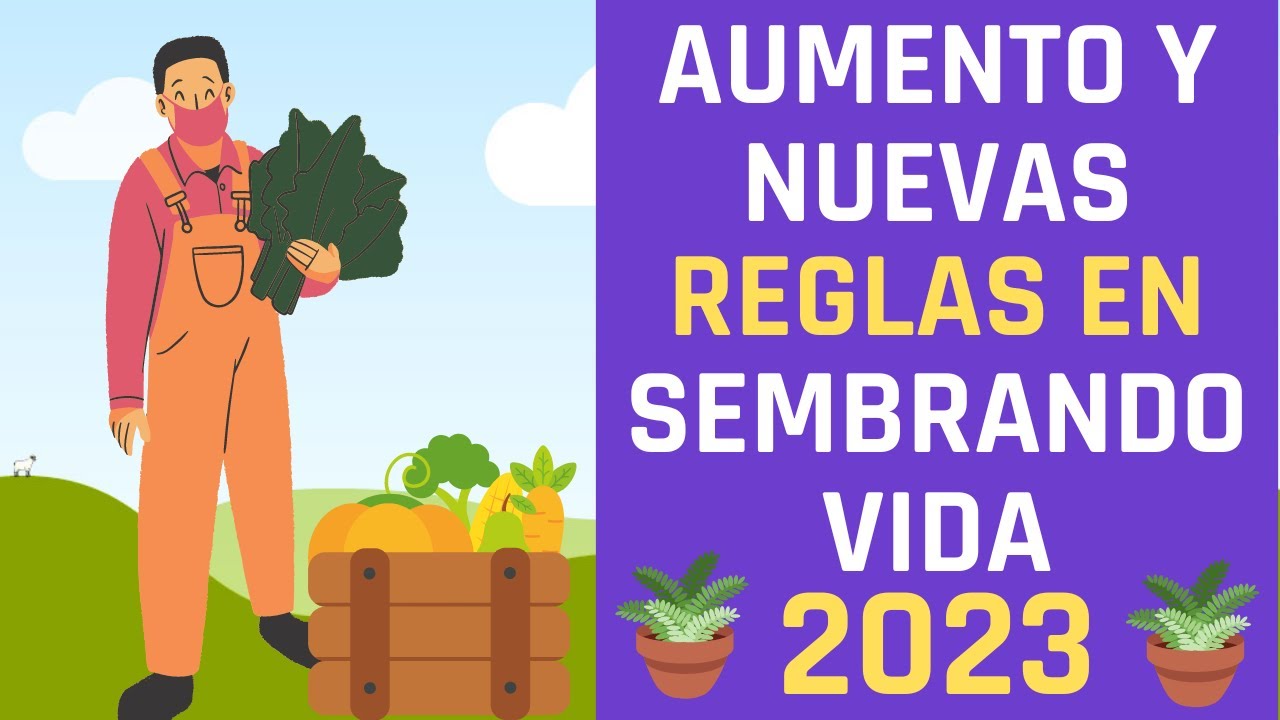 💥🚀🤑Aumento y Nuevas Reglas de Operación en Sembrando Vida 2023 - YouTube