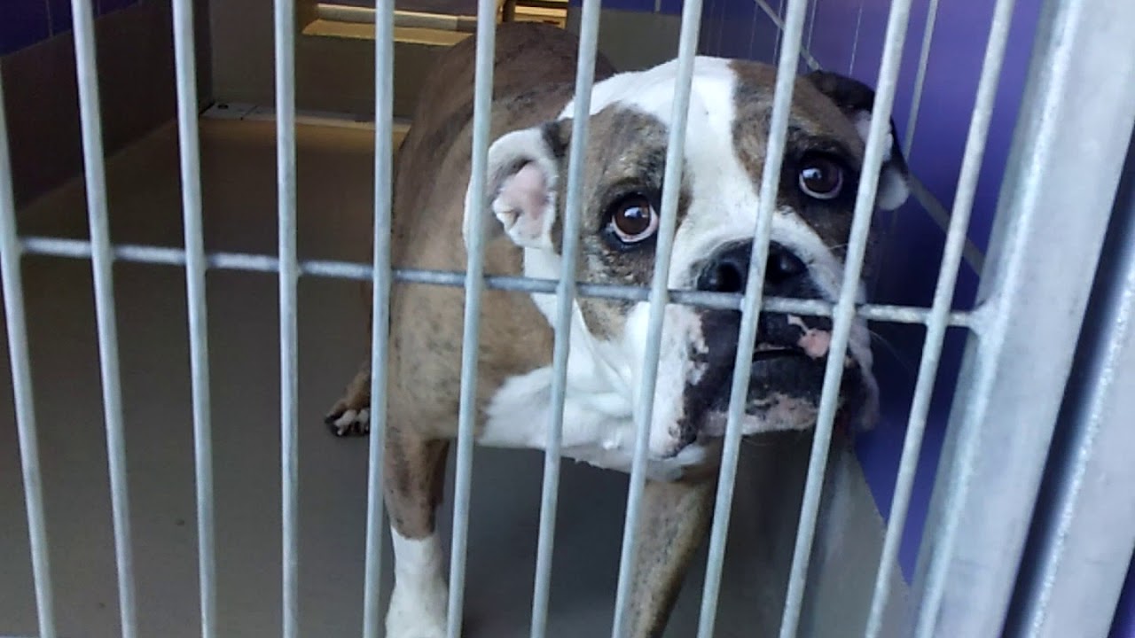 center for reproductive rights A786914 Bella