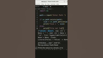 Find  file size in python #coding