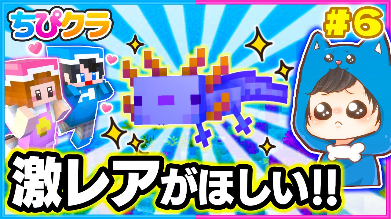 【ちぴクラ】神回!!✨１２００分の１の青色ウーパールーパーを発見！？💙🌼パート６【マイクラ/まいくら】