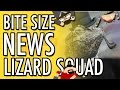 Lizard Squad Arrested ... Kinda | Bite Size News