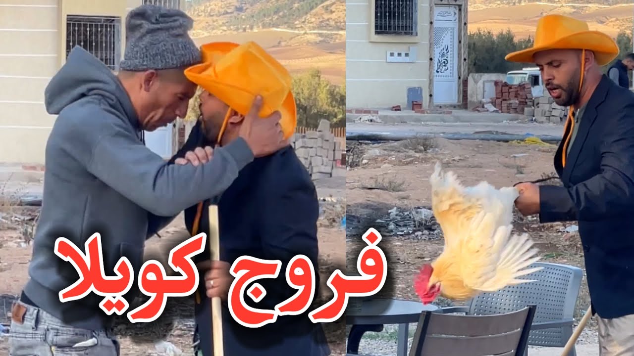 فروج كويلا بغى يتقهوى