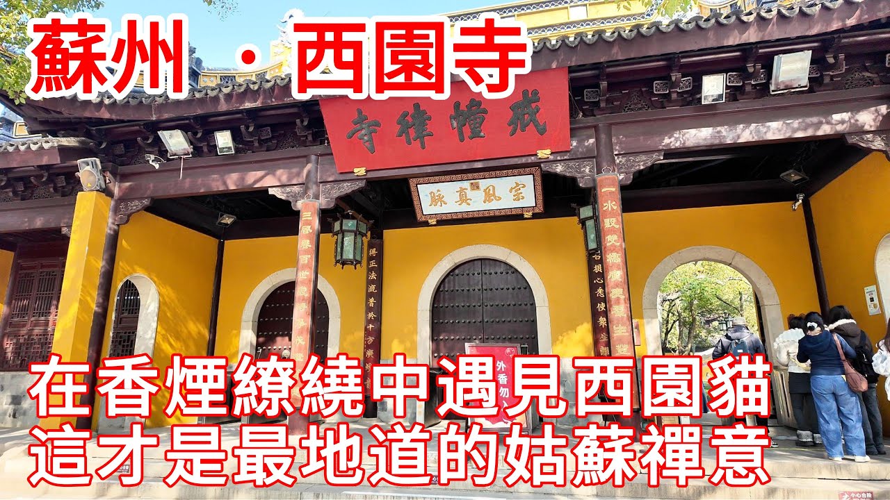 蘇州西園寺！貓咪、鴿子與神龜：西園寺的動物居士，才是這裡真正的主人？為什麼年輕人都愛去西園寺？抄經、餵鴿、摸貓，這間寺廟不一樣！不只是寒山寺！戒幢律寺｜罗汉堂｜江南水鄉｜city walk｜苏州｜中国
