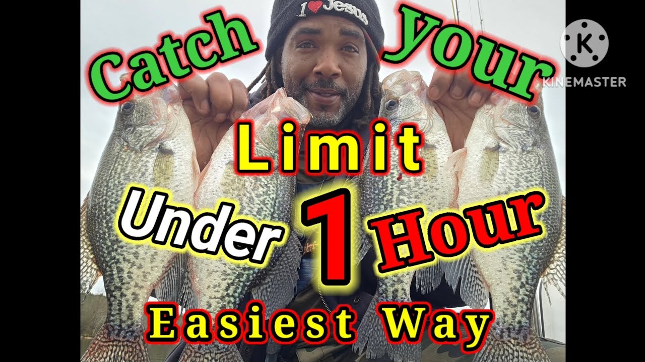 CATCH WINTER CRAPPIE LIMITS FAST EASIEST STEPS, NC FISHING TIPS 