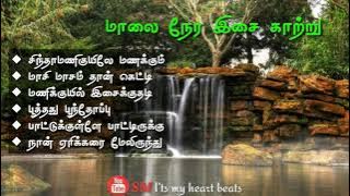 இளையராஜா வின் மாலை நேர பூங்காற்று | 90 s காதல் பாடல்கள் | அந்தி நேர பூங்காற்று
