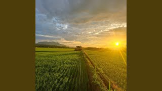 Iman Sebesar Biji Sesawi