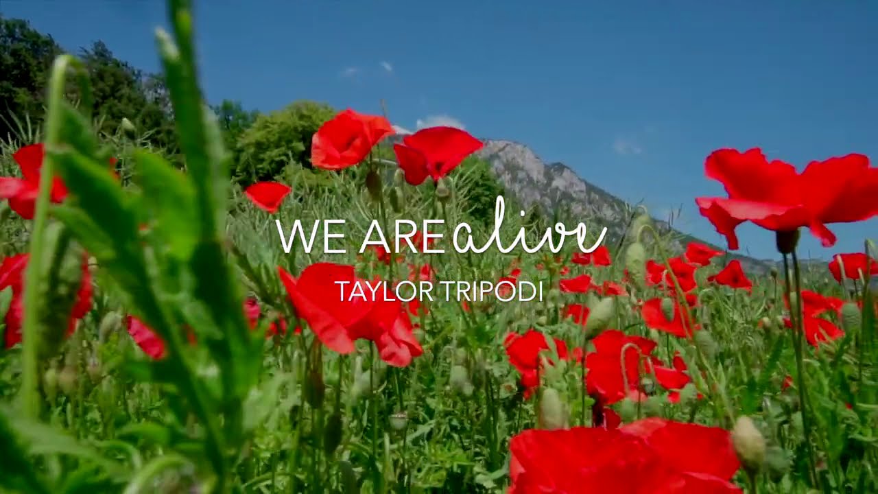 We Are Alive by Taylor Tripodi feat. PJ Anderson