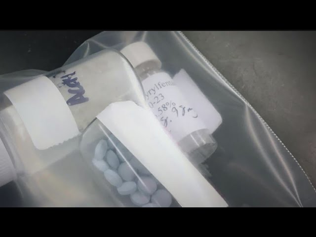 New street drug Xylazine is made as a muscle relaxer for horses-Fox 2 News  — Michigan Poison Center