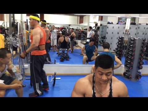 Video Đội tuyển thể hình Việt Nam 2016 (Việt Nam - GYM 30... - youtube