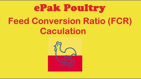Feed Conversion Ratio (FCR) Calculation