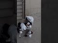 Malaya Wa Skuli Ya Secondari Ya Forodhan Unguja Zanzibar Malaya Wa Skuli Ya Secondari Ya Forodhan Unguja Zanzibar