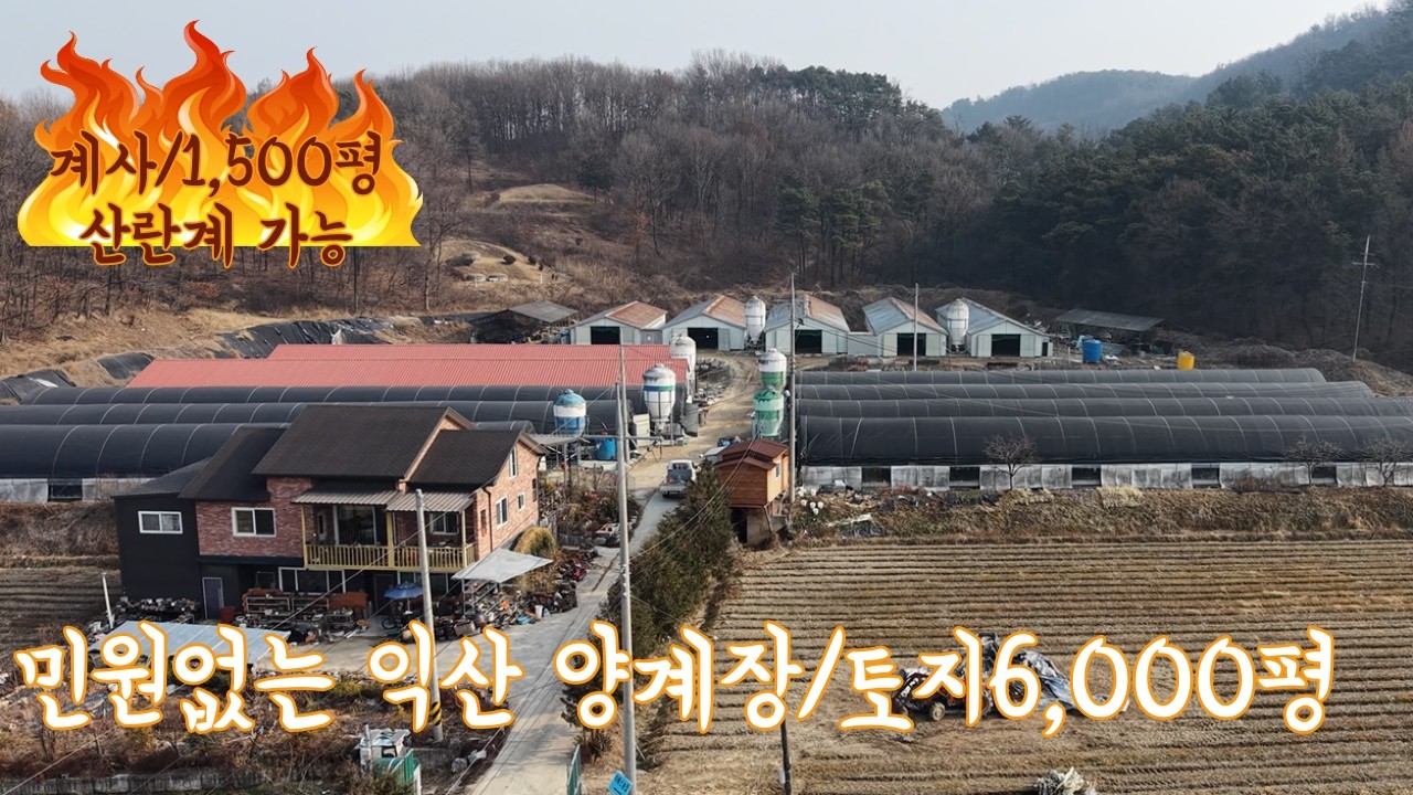 민원없는 양계장 전북 익산 토지/6,000평  계사/1,500평  주택/200평 현 삼계  유정란, 산란계 측종병경가능