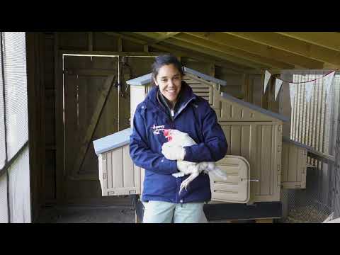 APHA Avian Influenza Surveillance Zones