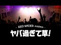 絶対聴いて欲しいレッドスパイダーDUB Anthem 特集！