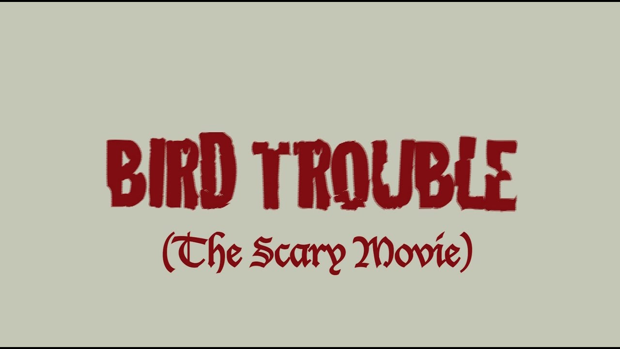 BIRD TROUBLE