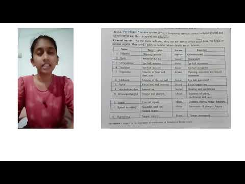 Our students just dont learn memory techniques,they master it to Teach others.