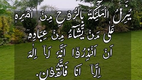 Surat No 16 || Ayat No 2 || سورة النحل .#islamicknowledge #quranchapter #islamicknowledgechannel