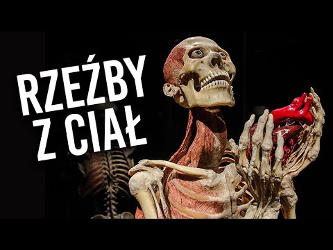 Wideo: Technologia Przekształcania Ludzkich Ciał W Kompost Została Przetestowana - Alternatywny Widok