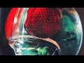 仮面ライダーBLACK 仮面ライダーブラック