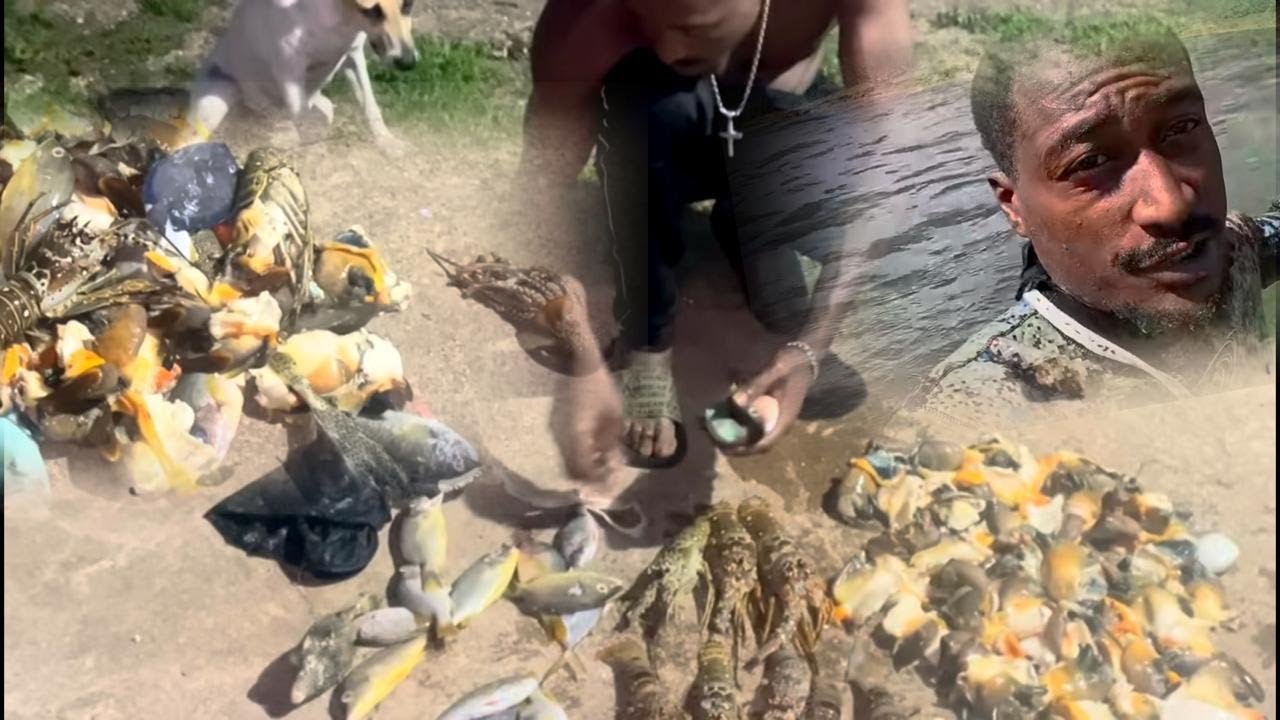 Одиночная охота на выживание: ловля рыбы, омара и морского моллюска.