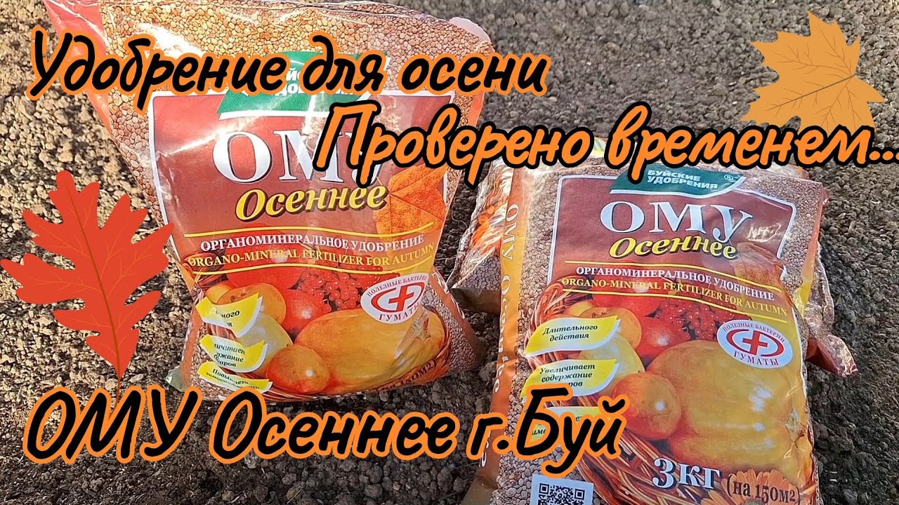 Лучшее осеннее удобрение ОМУ Осеннее г.Буй , проверено временем! Иркутск Мельничная падь...