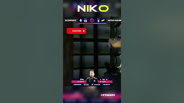 See NiKo