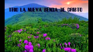 Video thumbnail of "TRIO LA NUEVA SENDA DE CRISTO"