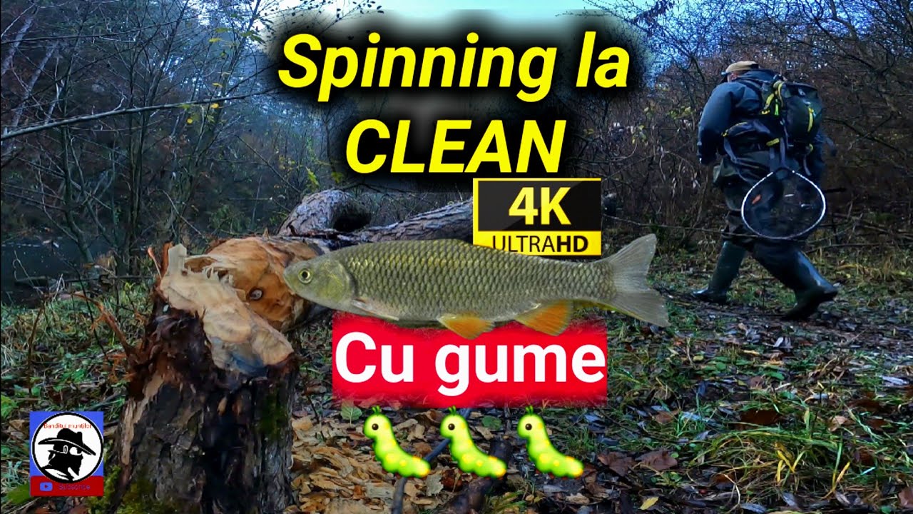 🎣Spinning la CLEAN🐟 cu GUME🐛 în NOIEMBRIE 🍂! 