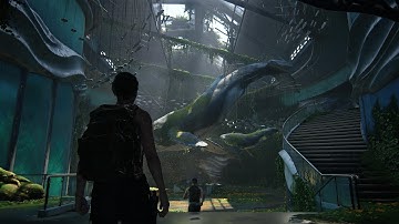 The Last of Us™ Part II GAMEPLAY PART 13 - 4K 60FPS HDR - NO COMMENTARY