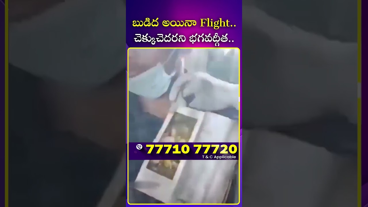 బుడిద అయినా Flight  చెక్కుచెదరని భగవద్గీత | 