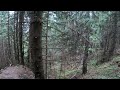 Prin pădure către Cabana Dochia - Munții Ceahlău