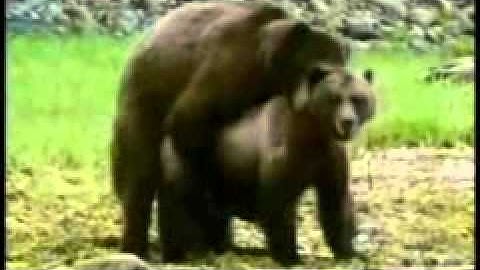 Vuclip Mobile Video Search Download Mp4 Vuclip Mobile Video Search Download Mp4