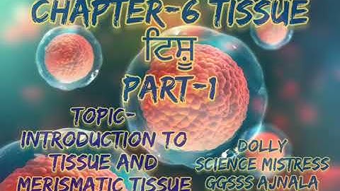 #Tissue#ਟਿਸ਼ੂ#PSEB class-9 part-1 Introduction a to tissues and Merismatic stem chapter-6
