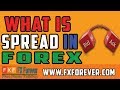 What is the spread  Forex Training Courses  Plan B ...