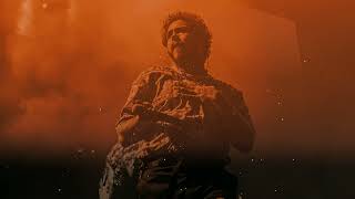 POST MALONE - Cooped Up (Lyric Video) ft. Roddy Ricch