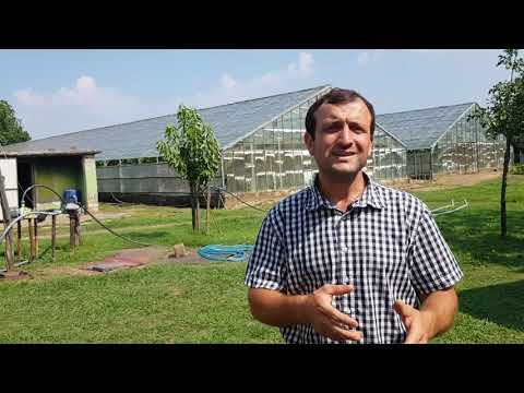 ოფშკვითელი ფერმერების პრობლემები