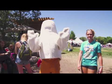 Mike the Headless Chicken Festival Promo Video