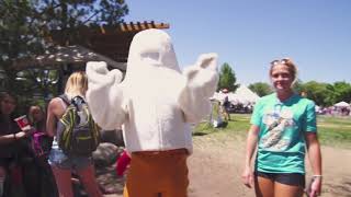 Mike the Headless Chicken Festival Promo Video