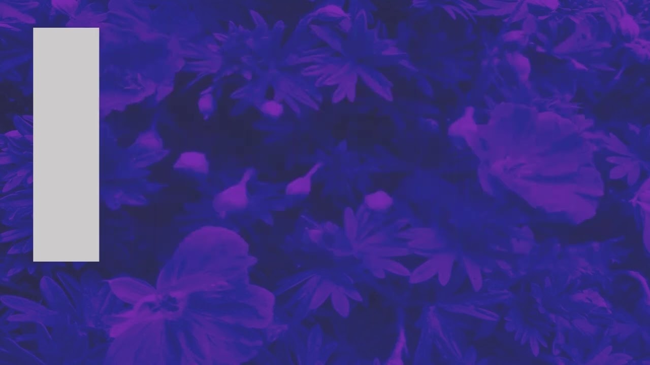 FAMILY VALUES ARE THE BASIS FOR SUCCESSFUL FAMILY FARMS IN THE U S A