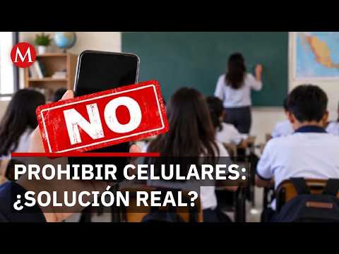 Expert warns: banning cell phones for minors could lead them down more dangerous paths