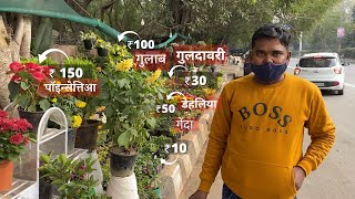 Plant Nursery Visit || Cheapest Plant Nursery || Plant Price with Names || Bewakuf Na Bane || by Container Gardening 70,320 views 2 years ago 10 minutes, 3 seconds