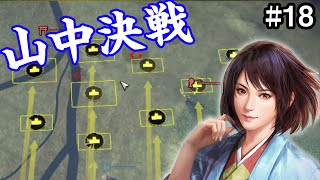 難攻不落の亀山城を攻略せよ！ 井伊家編 #18【信長の野望 大志 PK】