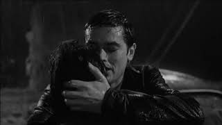 Alain Delon Tribute | &quot;All I Really Want is You&quot; | L&#39;insoumis (1964)