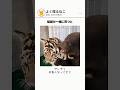 猛獣が一緒に育つと