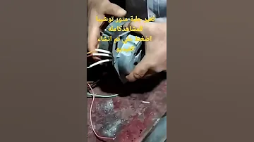 صيانة متور توشيبا Shorts 