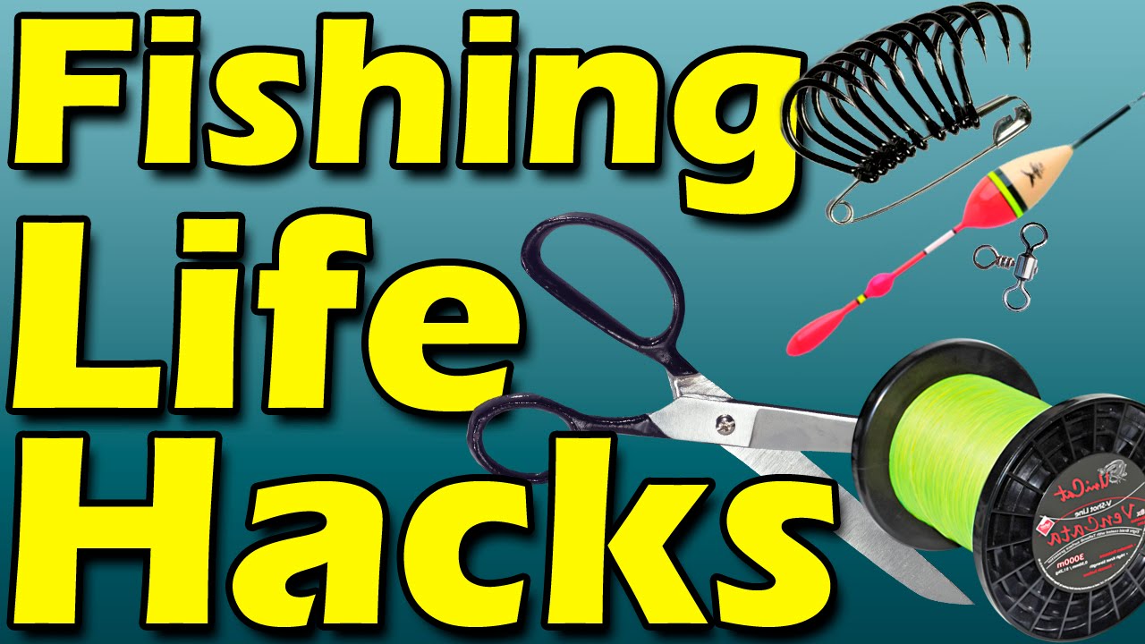 Fishing is life. Фишинг лайф. Fish Life Hacks. Fishing Life. Фишинг лайф ТВ.