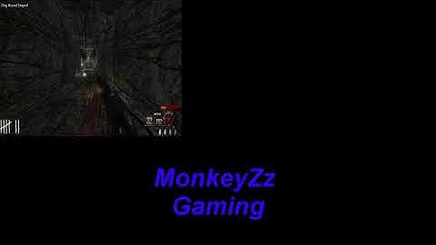 Custom WaW Zombies (One window Challenge)